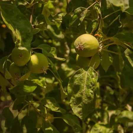 Makri Хостел *